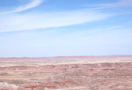 Petrified Forest