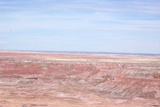 Petrified Forest