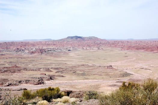 Petrified Forest