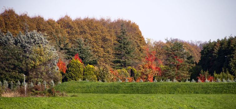 Colors of Fall in Lucca, Tuscany