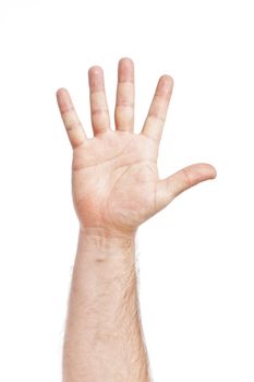 An image of five fingers up high
