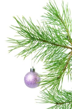 Christmas tree ornaments, white background,bright knick-knack