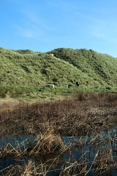 weird sand dunes on the west coast of ireland