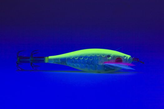 a phosphorescent fishing lure for squid fishing