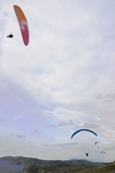 people having fun flying in the sky with parachute