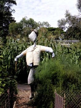 Photo shows a faceless man calle the scarecrow.