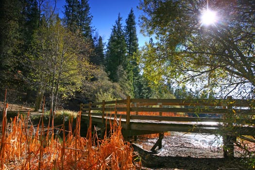 Lakeside Bridge Landscape On a Sunny Afternoon Day