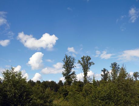 High resolution summer landscape with forest and blue sky with clouds