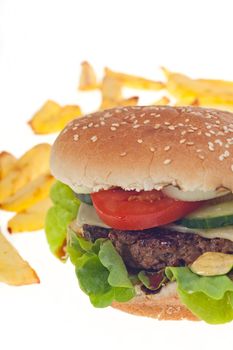 hamburger and french fries isolated on white