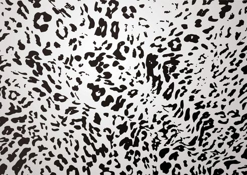 White and black snow leopard abstract background skin