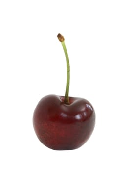 A ripe cherry on a white background.