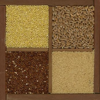 four ancient cereal grains - millet, spelt, amaranth, red quinoa in a wooden box or drawer with dividers