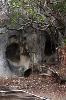 This is a granite boulder created from valcanic activity and weathering has the face of a skull.