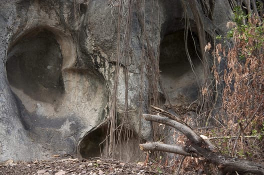 This is a granite boulder created from volcanic activity and weathering has the face of a skull.