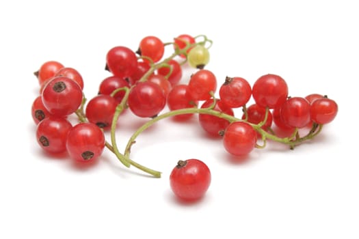 Three clusters of red currant and a single berry isolated on white