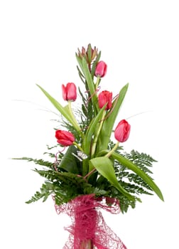 Bouquet of beautiful red tulips isolated on white background.