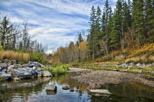 A late afternoon shot of a creek in the autumn in Edmonton, Alberta, Canada.