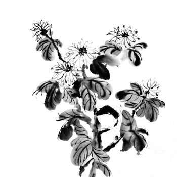 Flowers of painting in Chinese traditional style on white background.