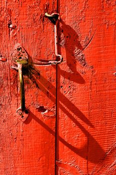 Old door in the Ukrainian village house