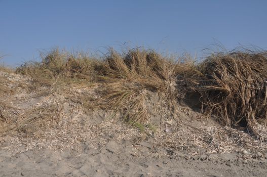 sand dune with grass near a Greek beach (blue sky) 