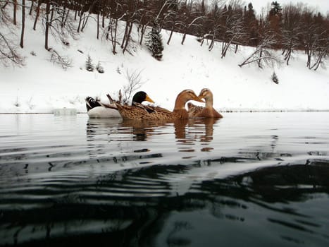 Lake Sarva, Bashkortostan, Russia