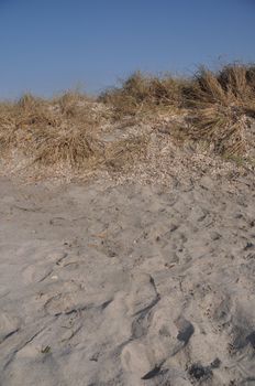 sand dune with grass near a Greek beach (gorgeous blue sky) 