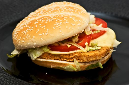 Fresh chicken burger