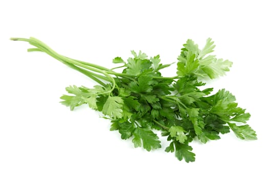 Green fresh parsley isolated on white