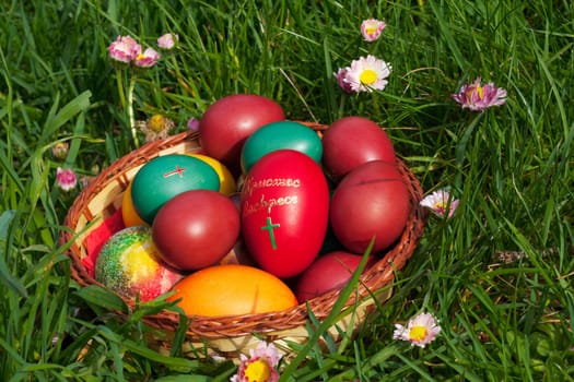 Colorful Easter eggs in a container, posed on green spring grass with flowers