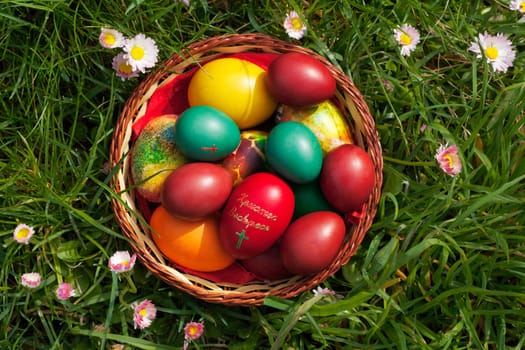 Easter eggs in a container, view from the top, some spring flowers around