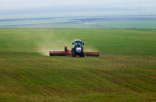 A little tractor working in a green field of corn