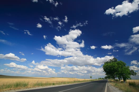 Summer scenery with road and clouds