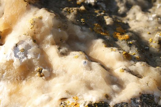 Mineral deposits on limestone partially covered with a lichen sprouted