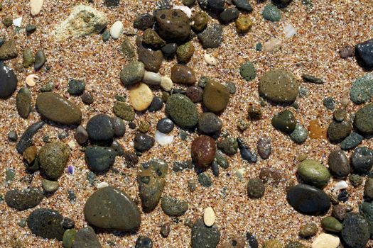 Wet round stones at the beach