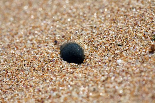 Round black SPA stone on the beach sand