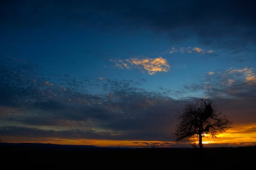 Colorful sunset with a lonely tree against the colored sky