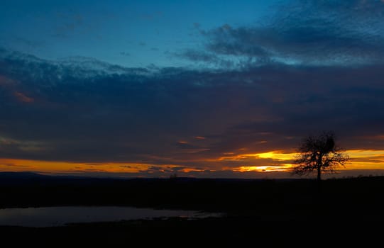 Colorful sunset with a lonely tree against the colored sky