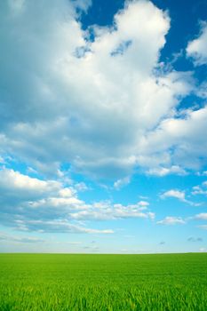 Scenery with green grass field and blue sky with beautiful clouds