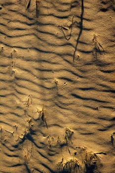 Dry sand dunes