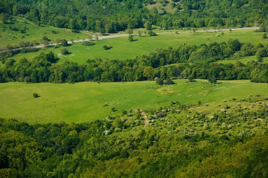 Green spring scene with meadows and forests