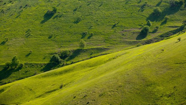 Hills with green spring grass