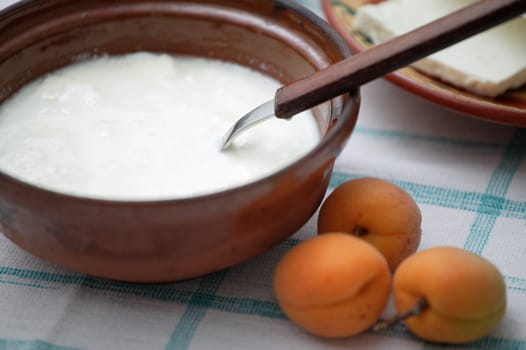 Bulgarian yoghurt in a earthen bowl