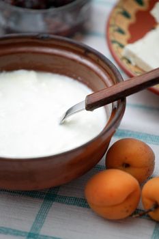 Bulgarian yoghurt in a traditional bowl of clay