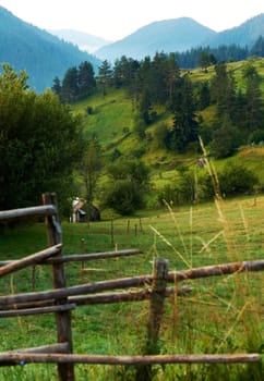 Spring in the Rhodope mountain, Bulgaria