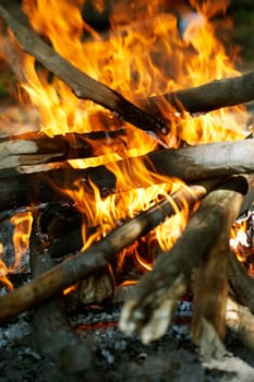 Fire close-up, byrning wood for making a berbecue