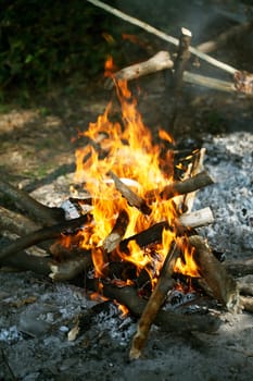 Fire in the forest, making barbecue