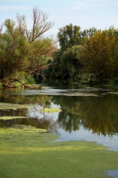 Tundza river near Yambol, Bulgaria