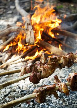 Roasting lamb on open fire