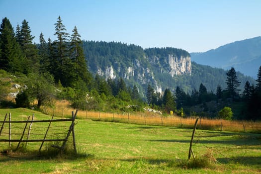 Summer landscape from the Rhodope mountain in Bulgaria