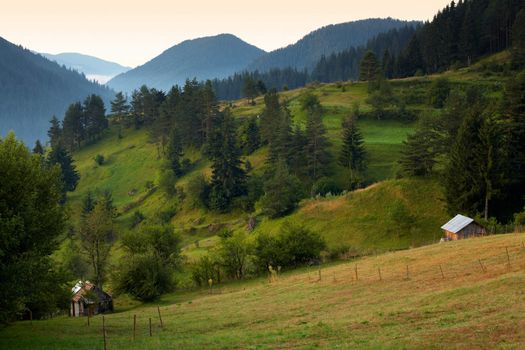 Summer morning scenery from the Rhodope mountain, Bulgaria